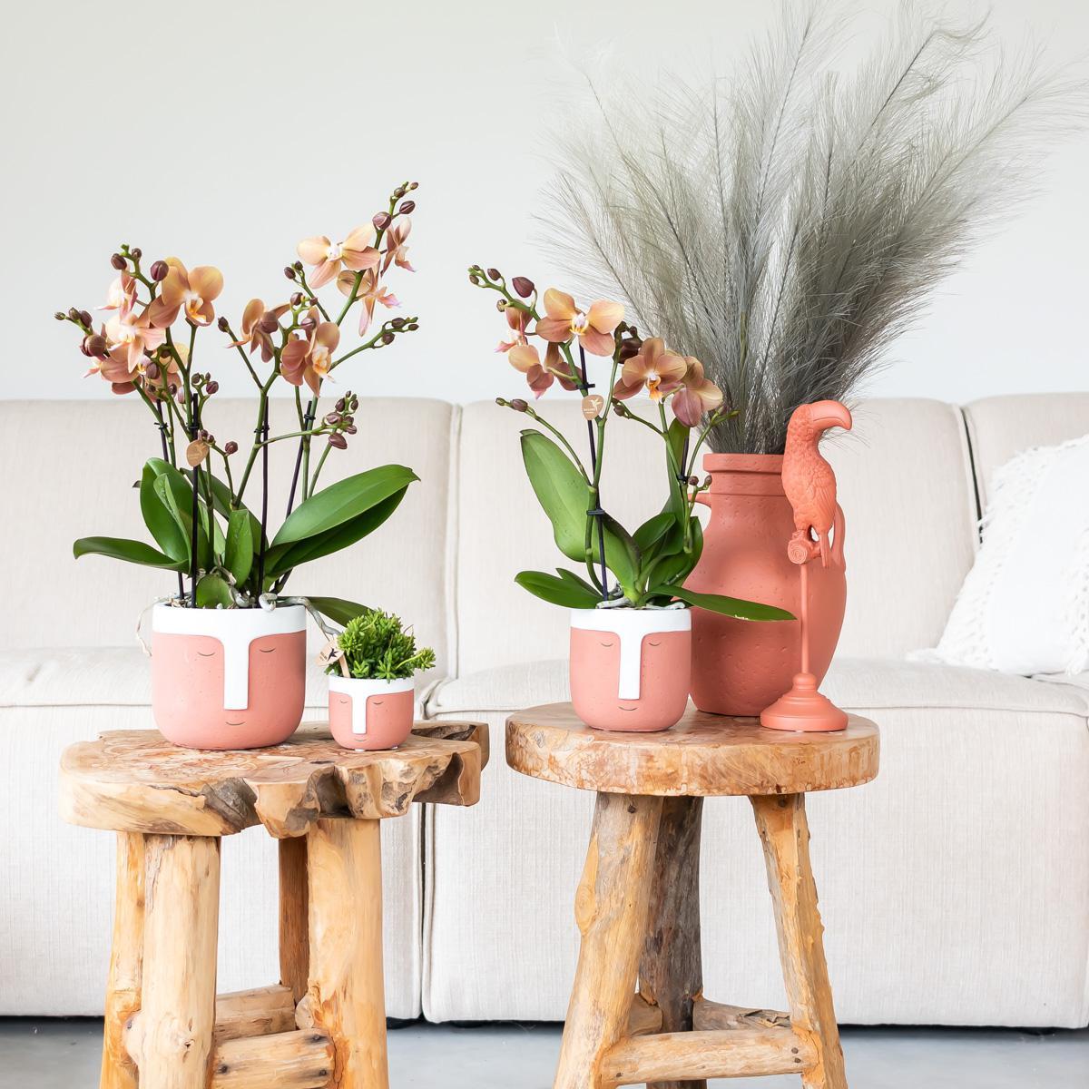 Kolibri Home | Ornament - Decoratie beeld Toucan terracotta