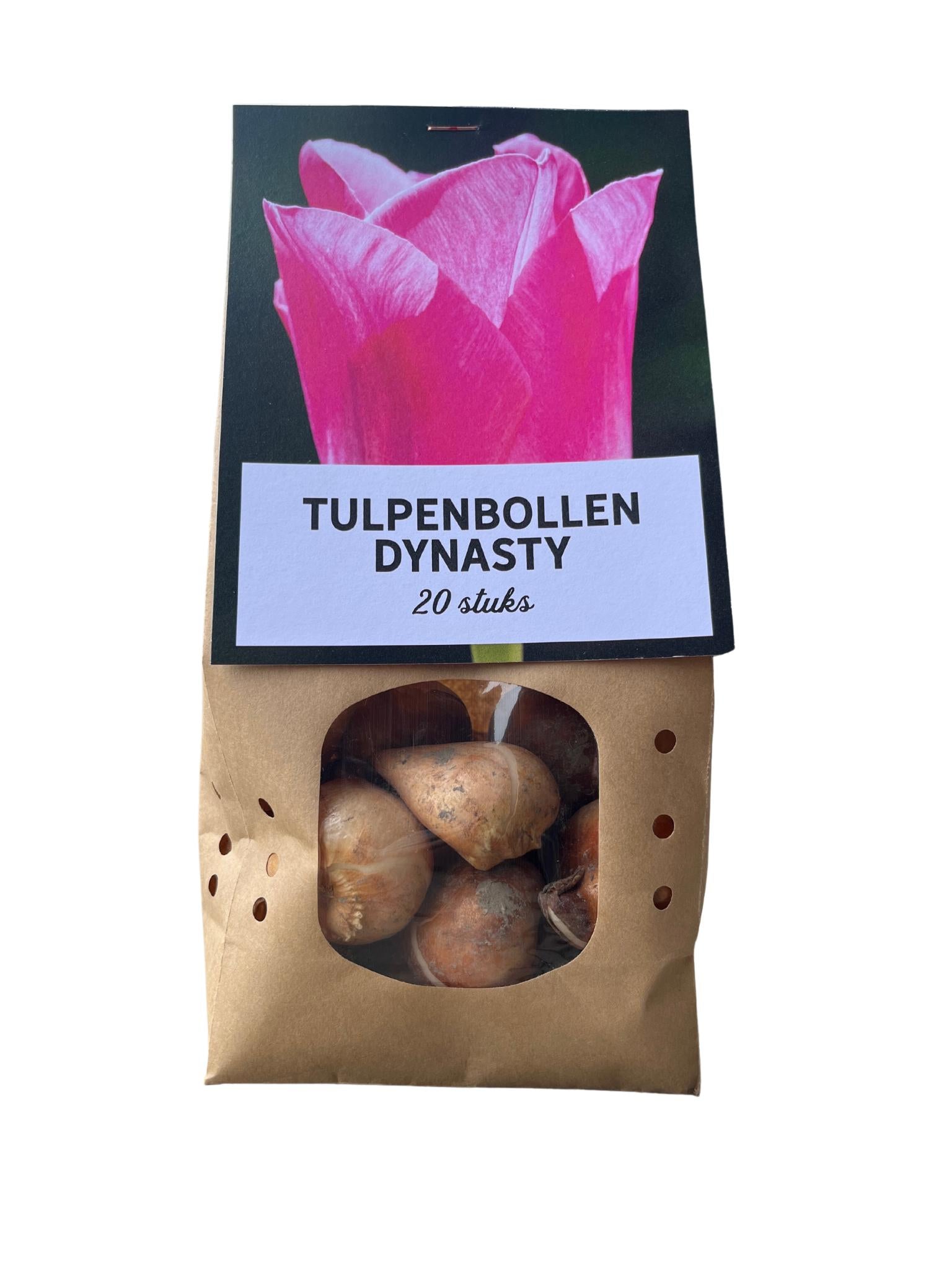 Tulpenbollen 20 stuks