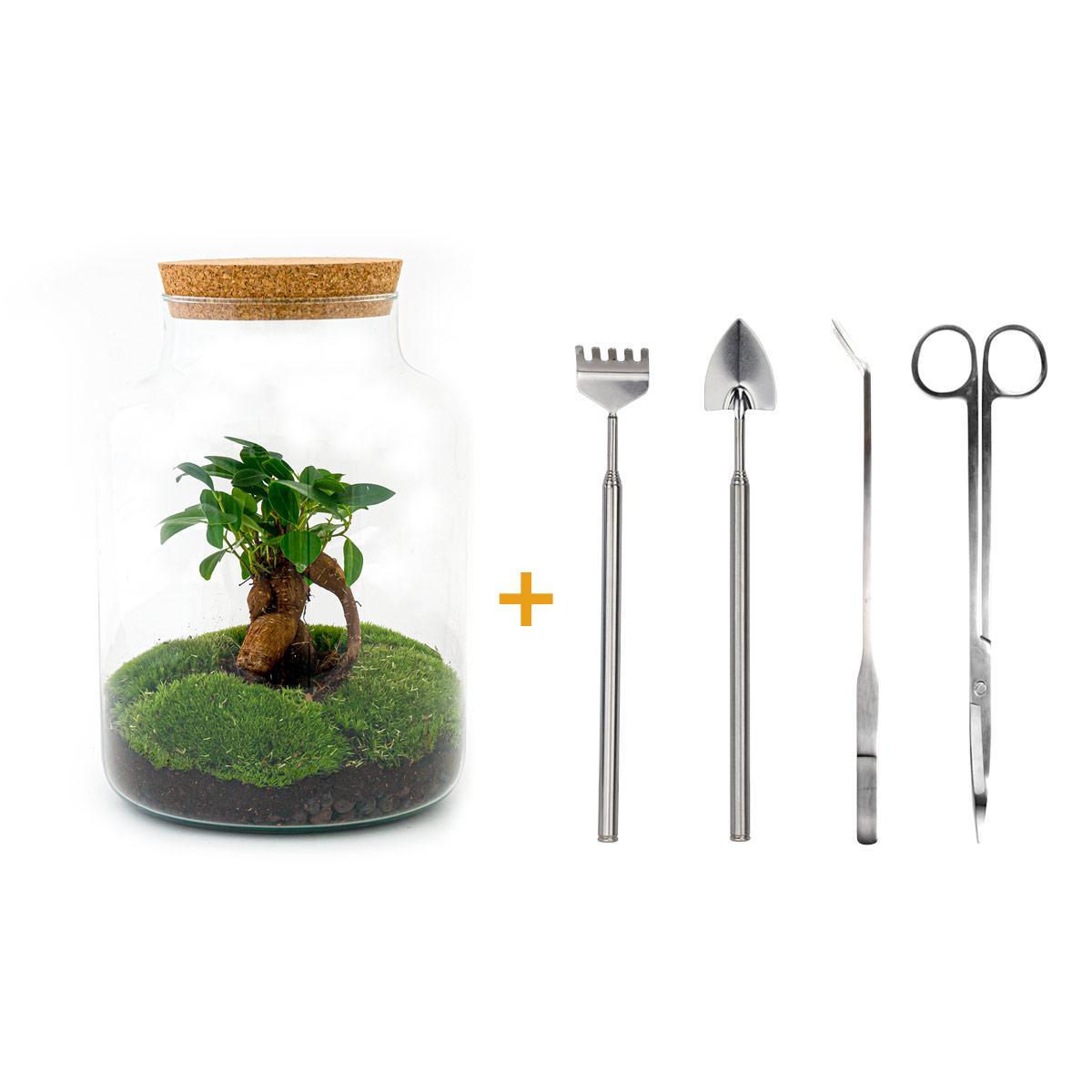 DIY terrarium - Milky met bonsai - ↑ 30 cm + Rake + Shovel + Tweezer + Scissors