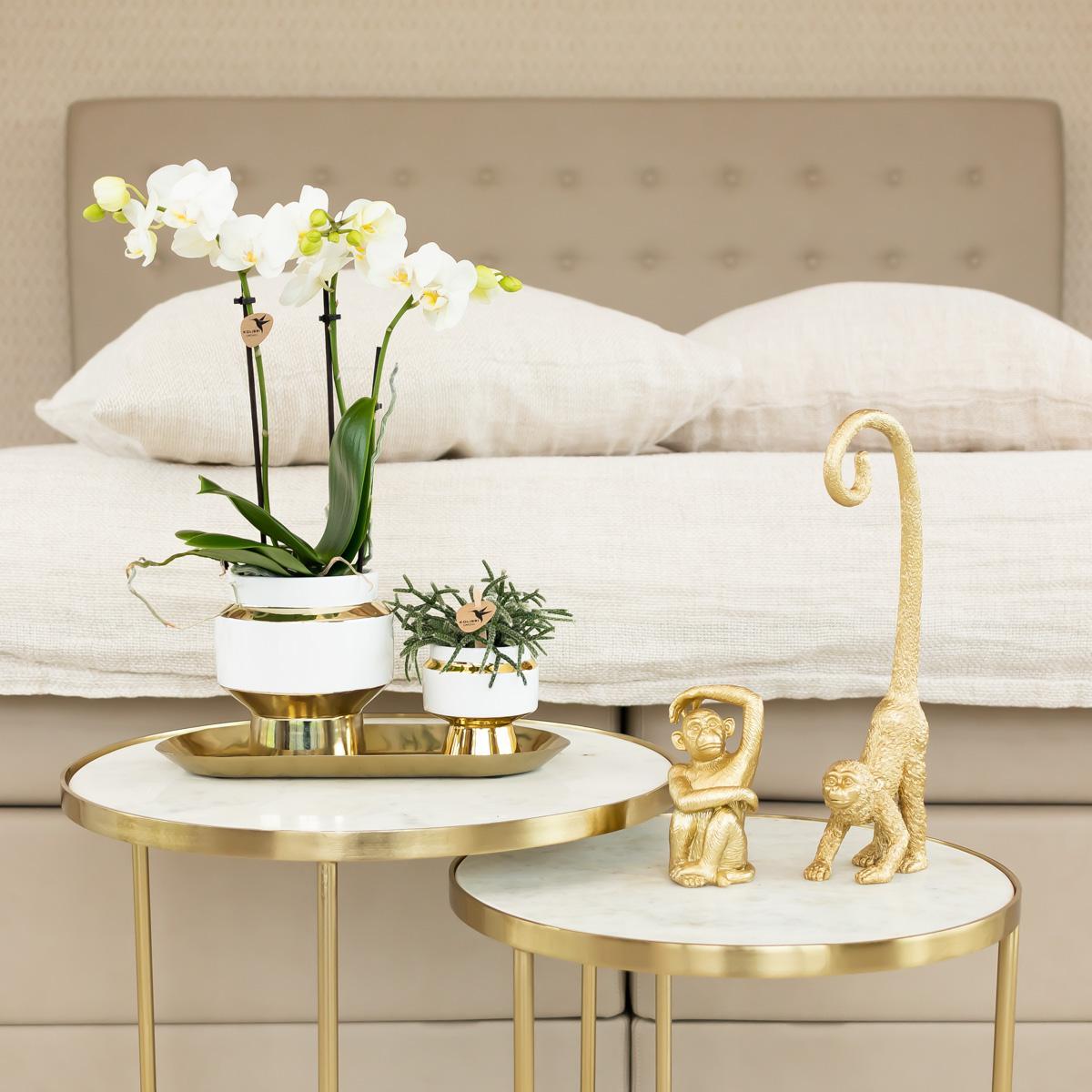 Kolibri Home | Le Chic bloempot - Witte keramieken sierpot met gouden details - Ø6cm