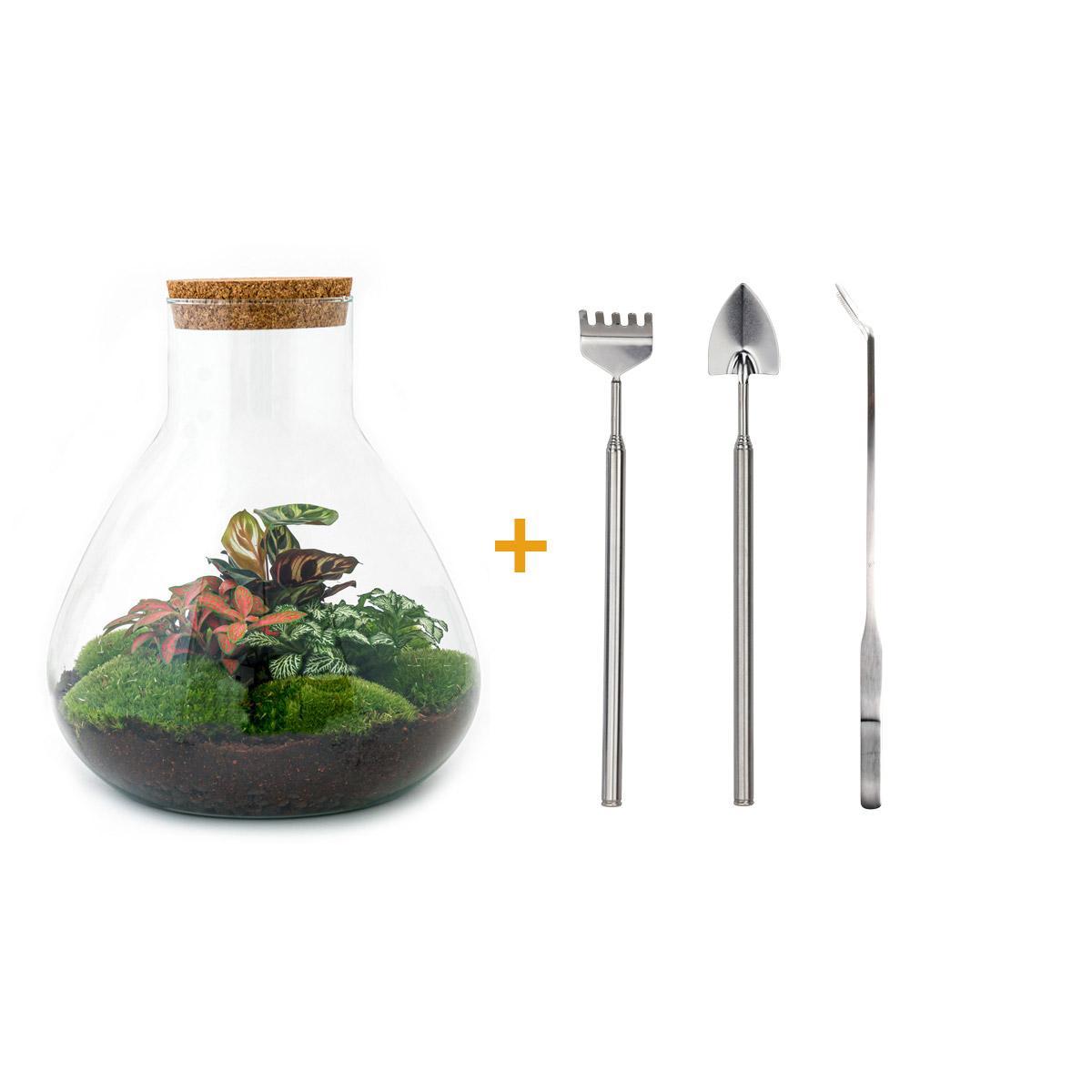 DIY terrarium - Sam XL Red - ↑ 35 cm + Rake + Shovel + Tweezer