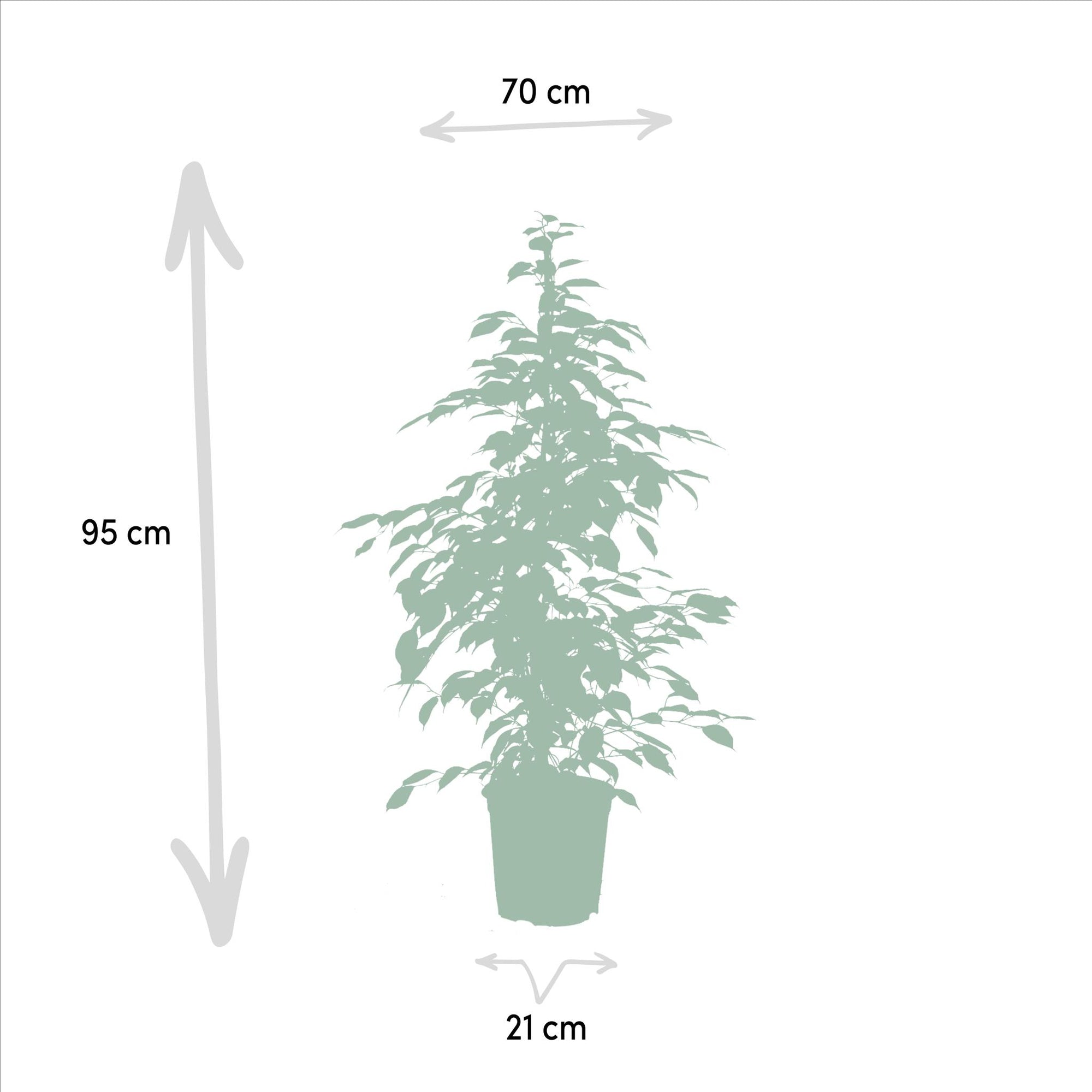 Ø21cm - ↕95cm