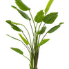 Kunstplant - Strelitzia Nicolai - Paradijsvogelbloem - 180 cm