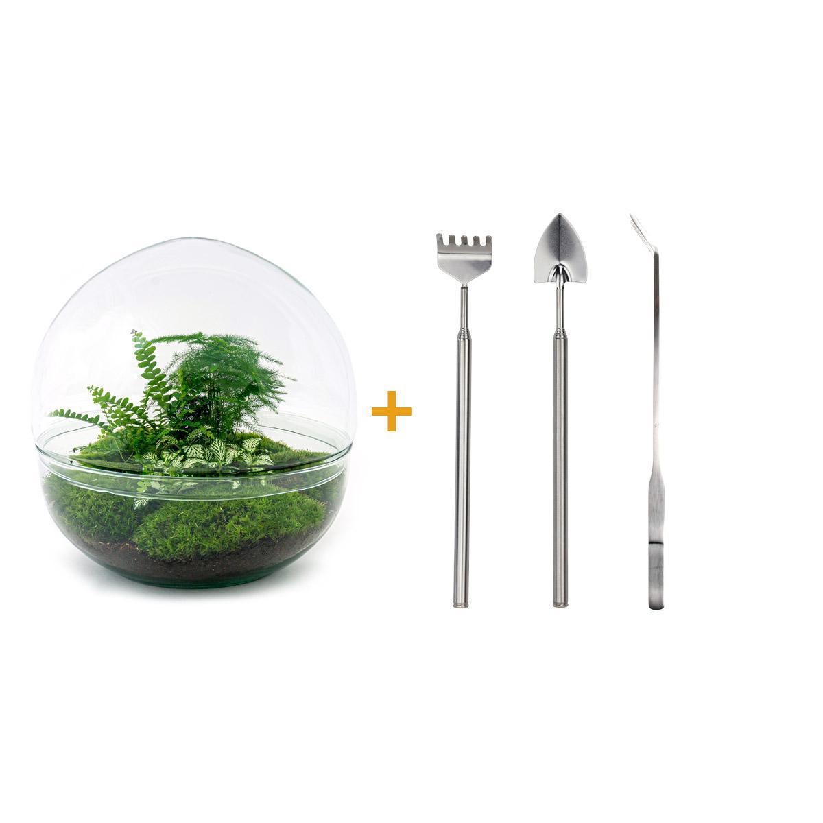 DIY terrarium - Dome XL - ↑ 30 cm + Rake + Shovel + Tweezer