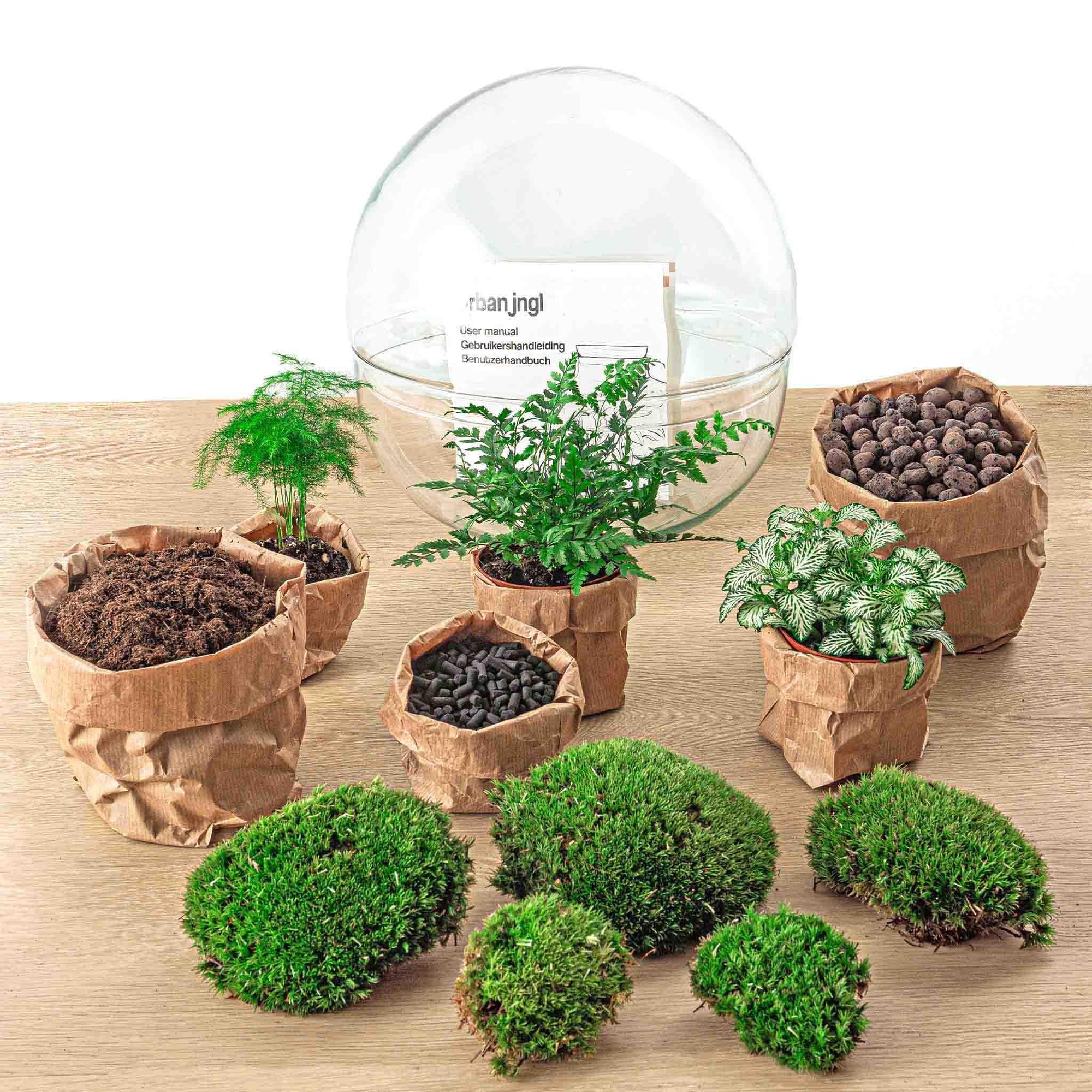 DIY terrarium - Dome XL - ↑ 30 cm + Rake + Shovel + Tweezer