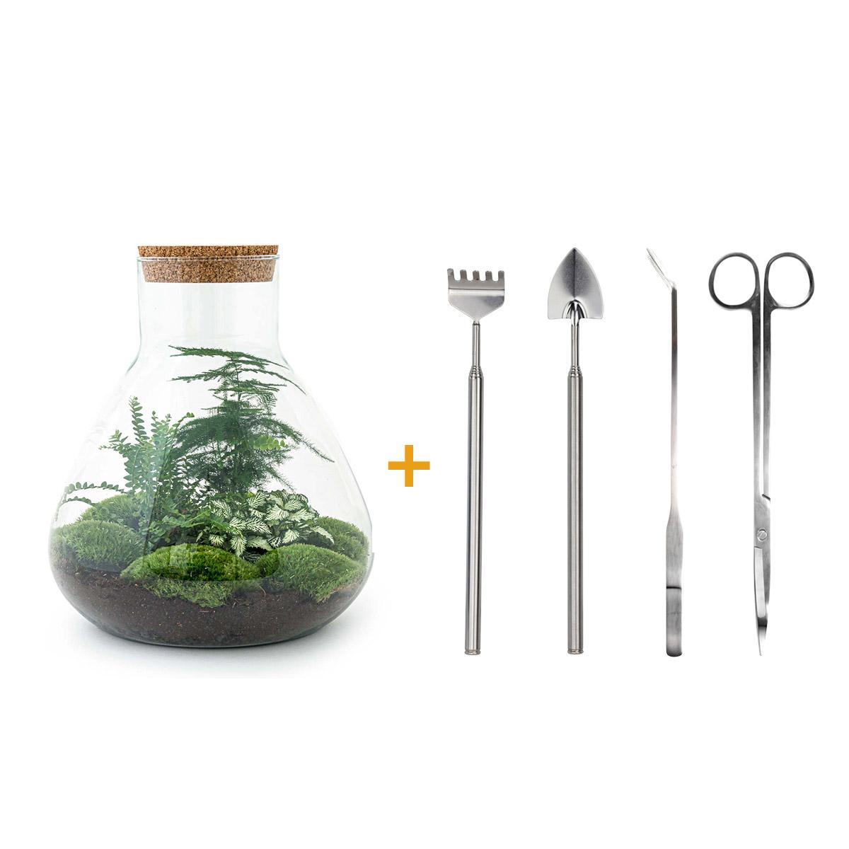 DIY terrarium - Sam XL - ↑ 35 cm + Rake + Shovel + Tweezer + Scissors