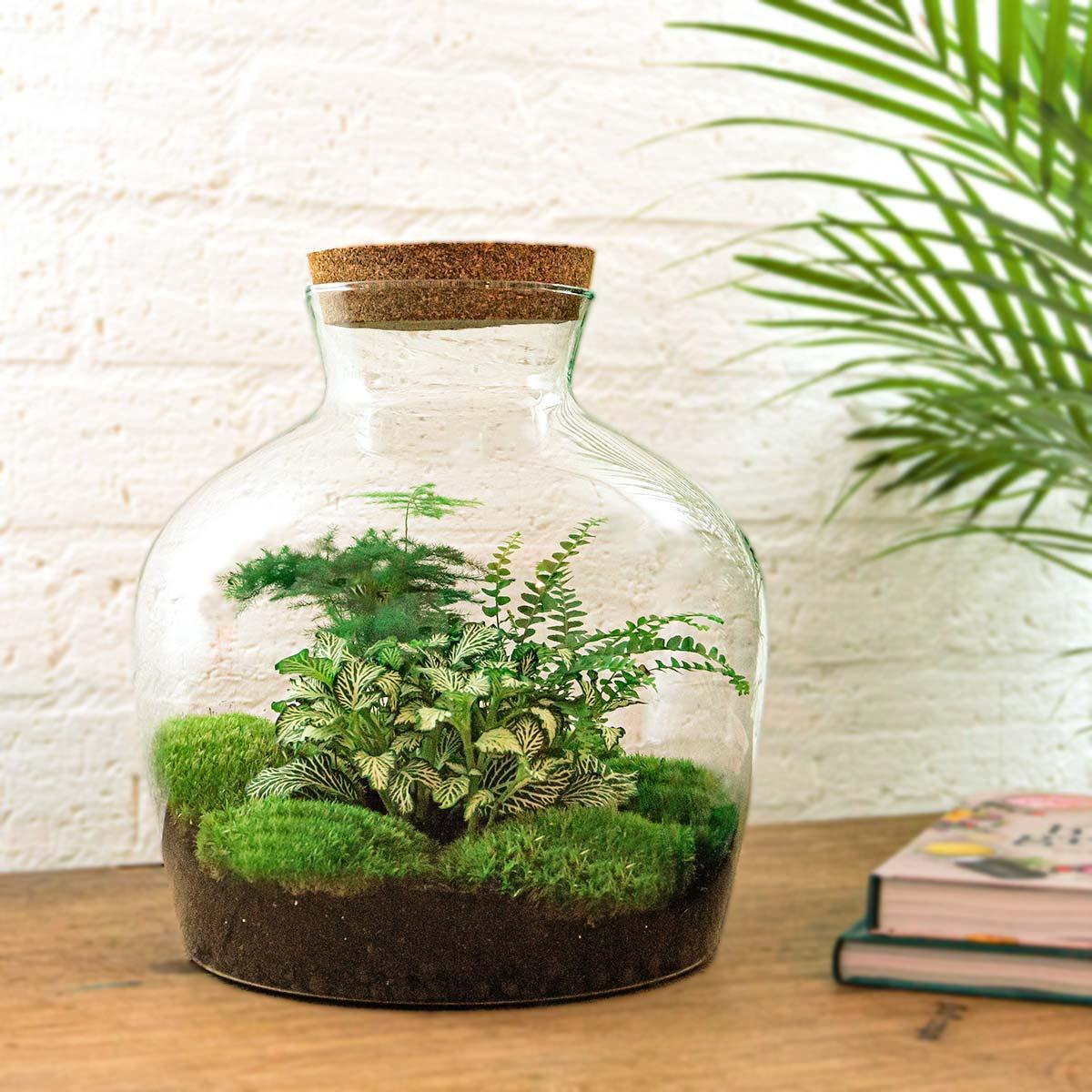 DIY terrarium - Fat Joe Groen - ↑ 30 cm + Rake + Shovel