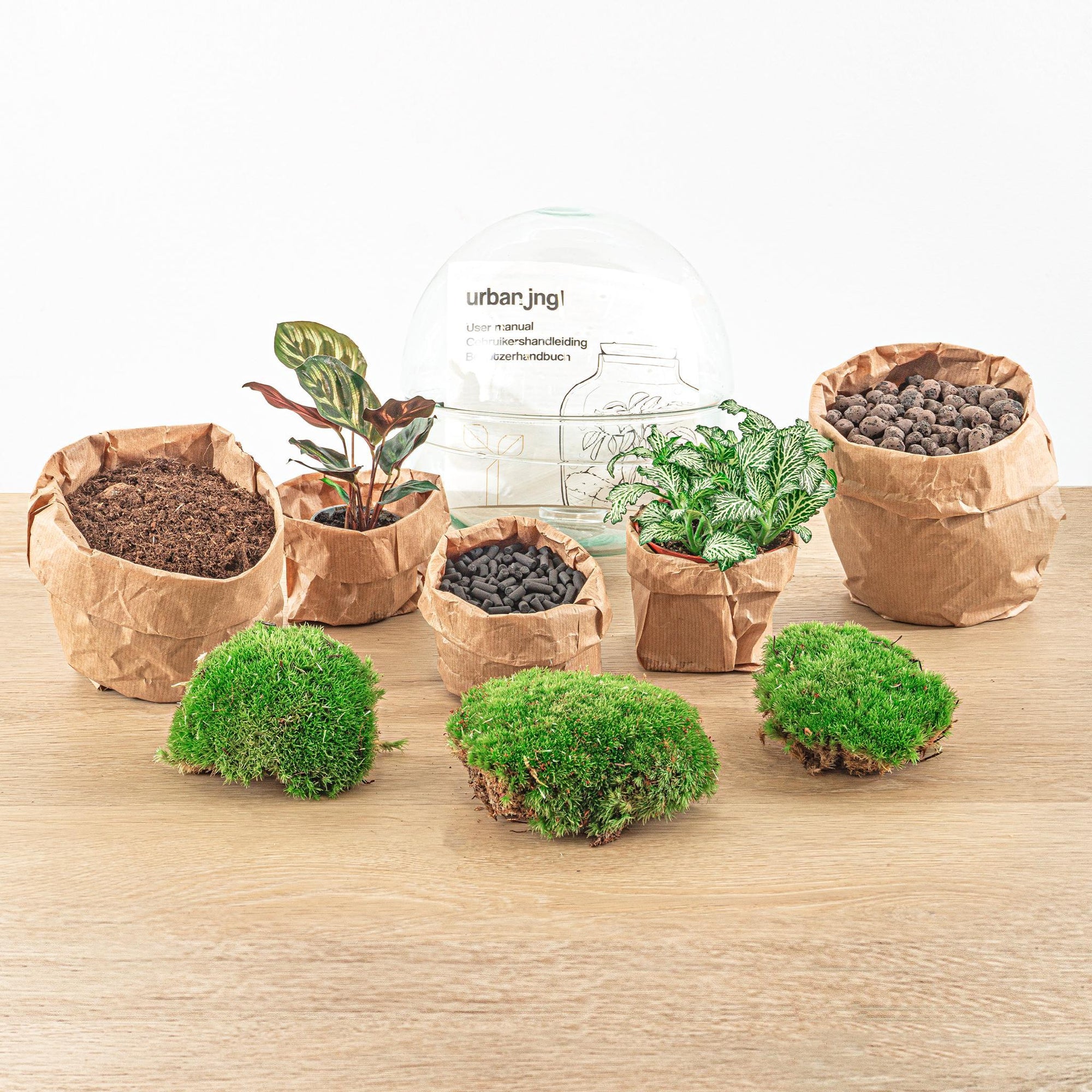 DIY terrarium - Dome - ↑ 20 cm