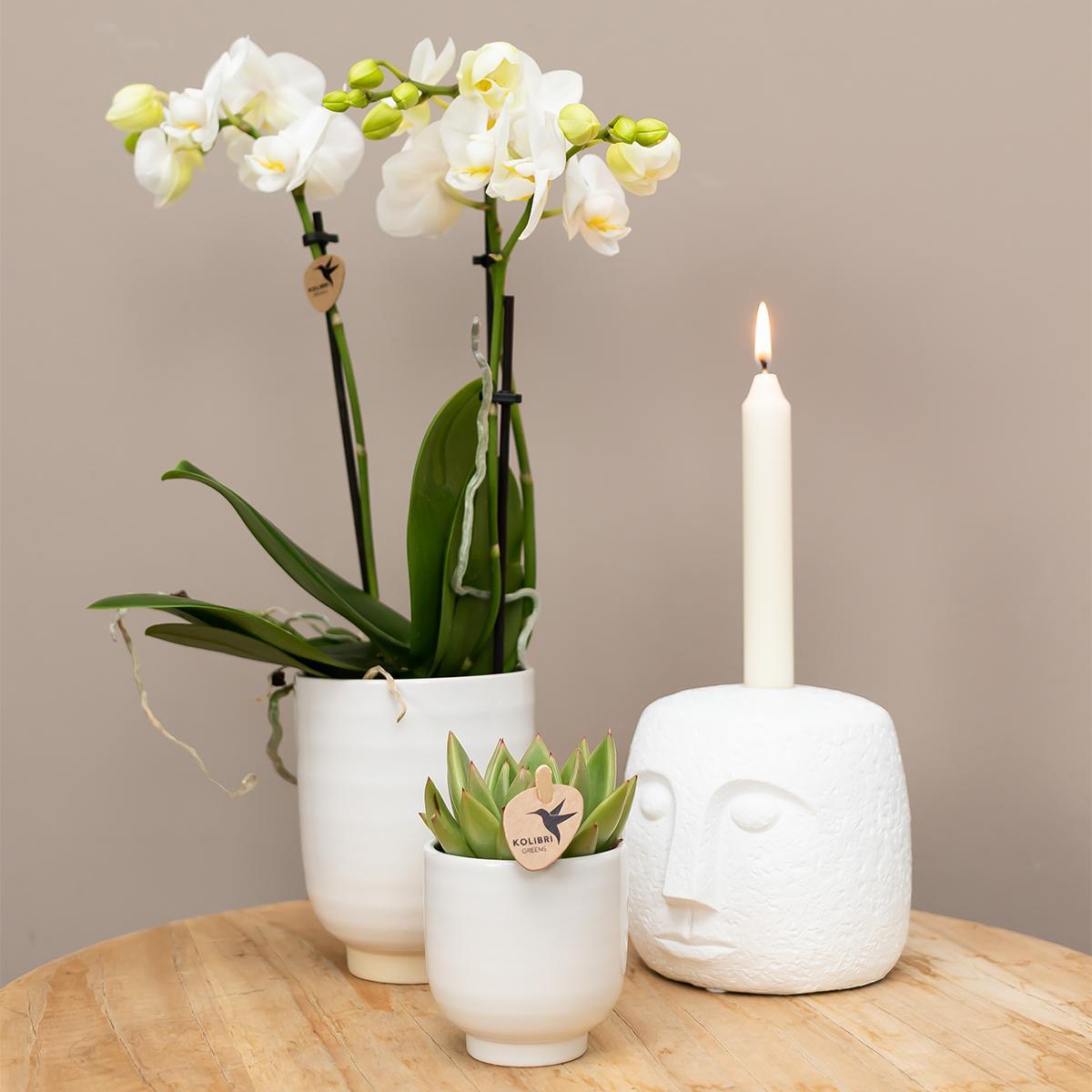 Kolibri Home | Glazed bloempot - Witte keramieken sierpot met glans - Ø9cm