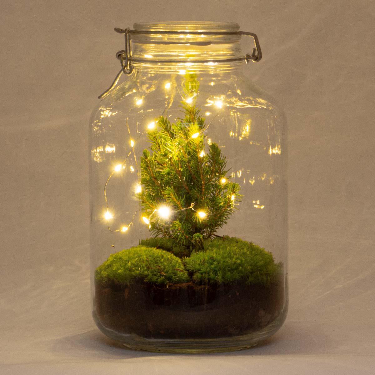 DIY terrarium - Jar Christma - ↑ 28 cm