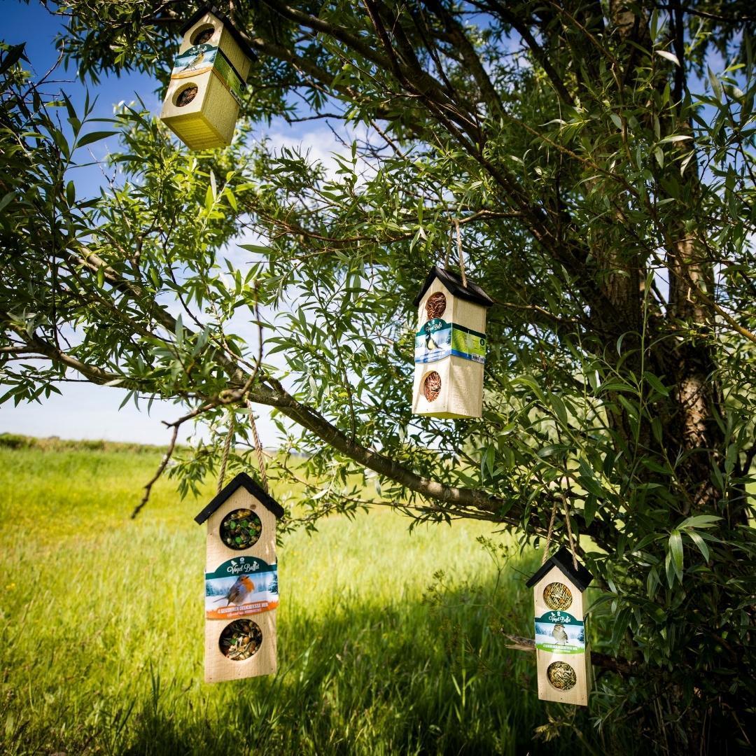 Bird-Buffet | Chalet feeder vogelhuisje voor Mussen