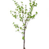 Kunstplant - Tropaeolum Speciosum - Oost Indische Kers - 150 cm