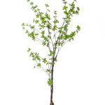 Kunstplant - Tropaeolum Speciosum - Oost Indische Kers - 150 cm