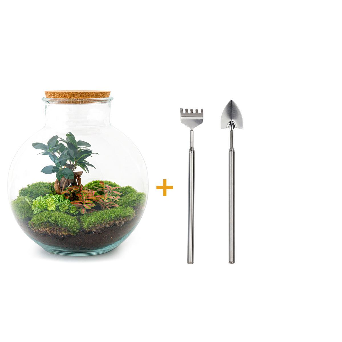 DIY terrarium - Bolder Bob Bonsai - ↑ 30 cm+ Rake + Shovel