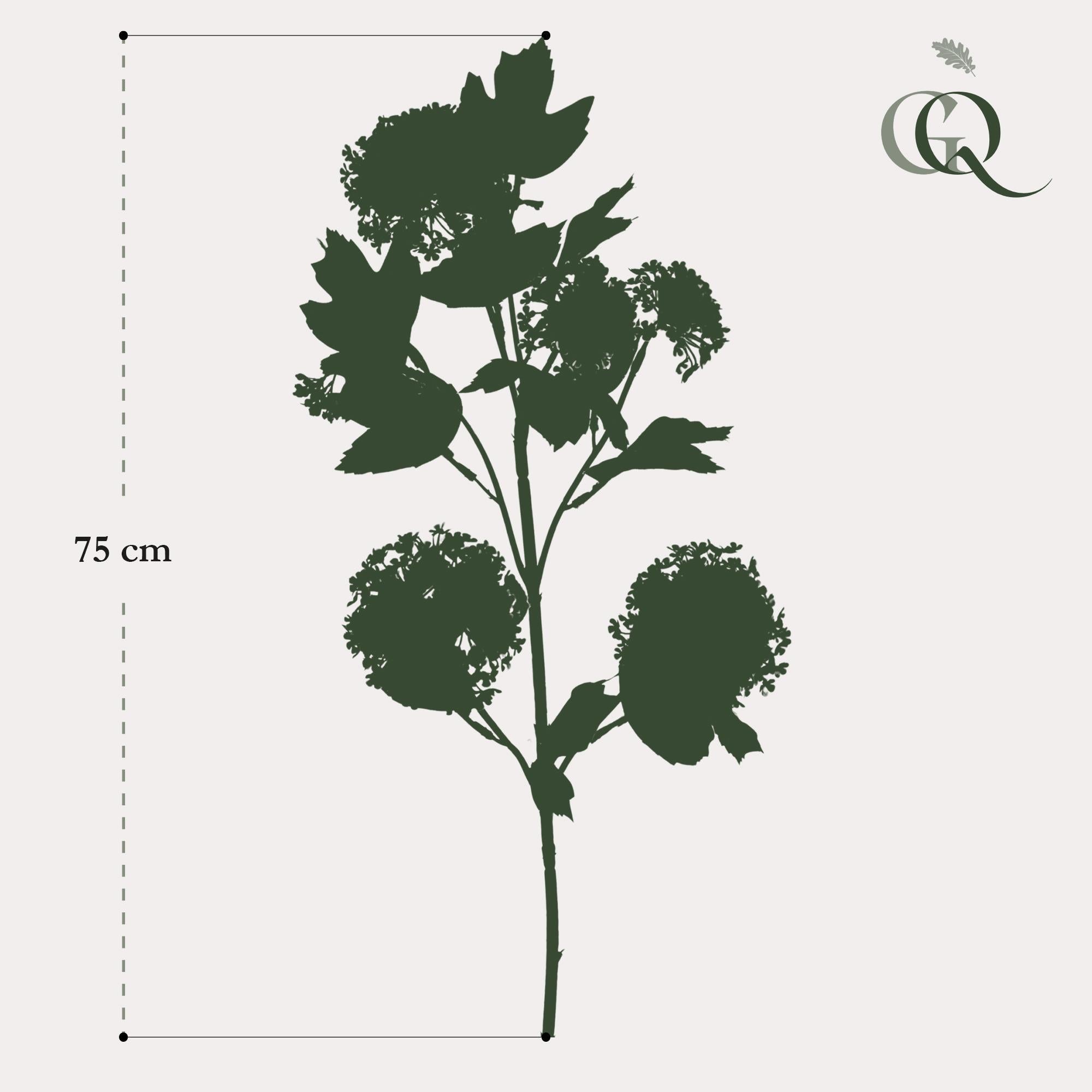 Kunstbloemen - Viburnum opulus takken creme x 4 - 75cm