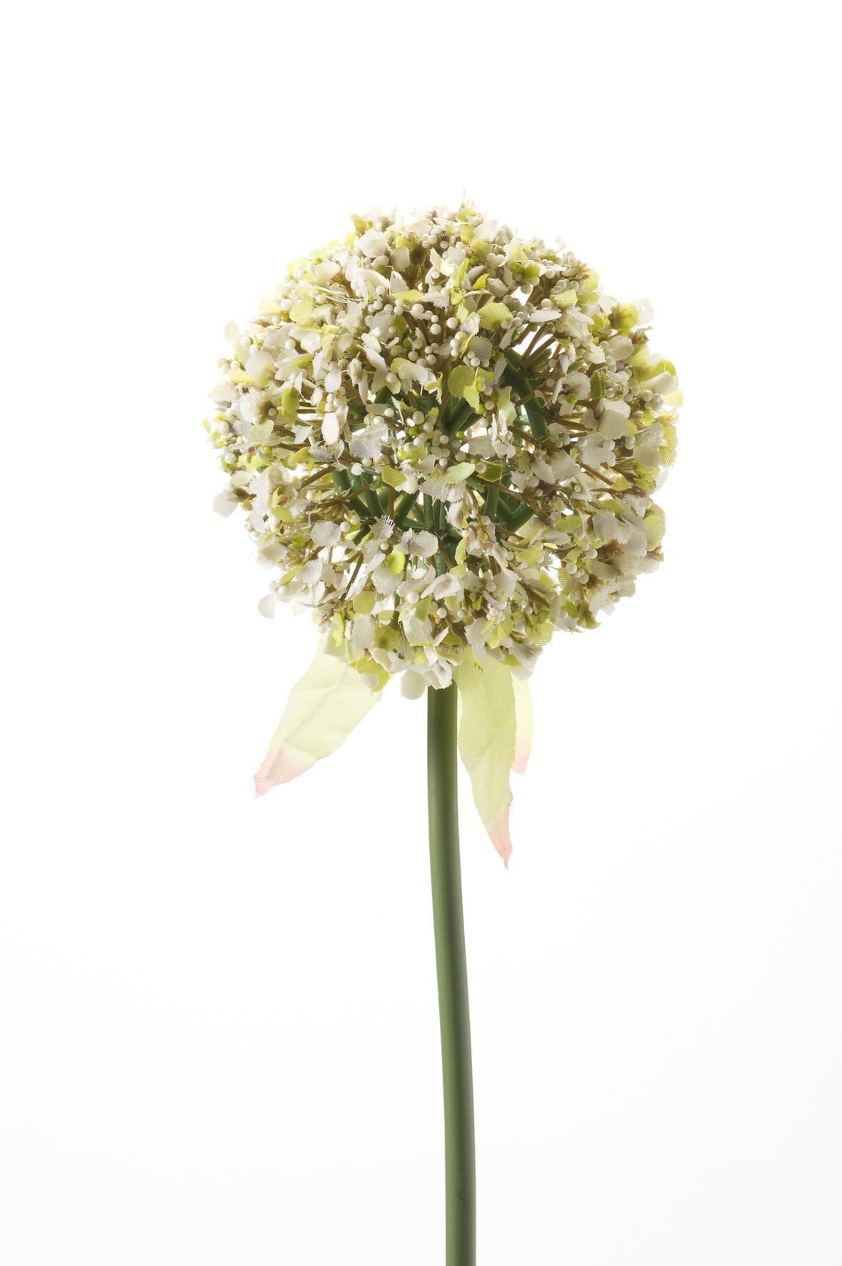 Kunstbloemen - Allium bloem wit x 7 - 70cm