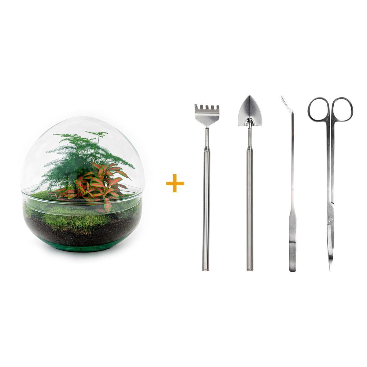 DIY terrarium - Dome Red - ↑ 20 cm  + Rake + Shovel + Tweezer + Scissors