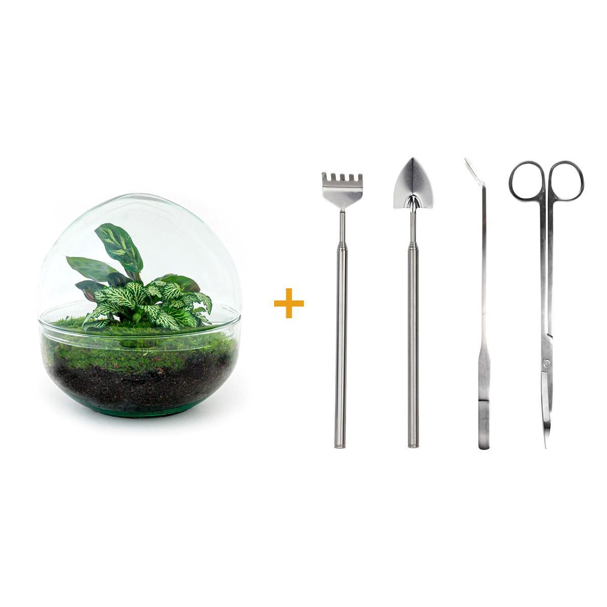 DIY terrarium - Dome - ↑ 20 cm + Rake + Shovel + Tweezer + Scissors