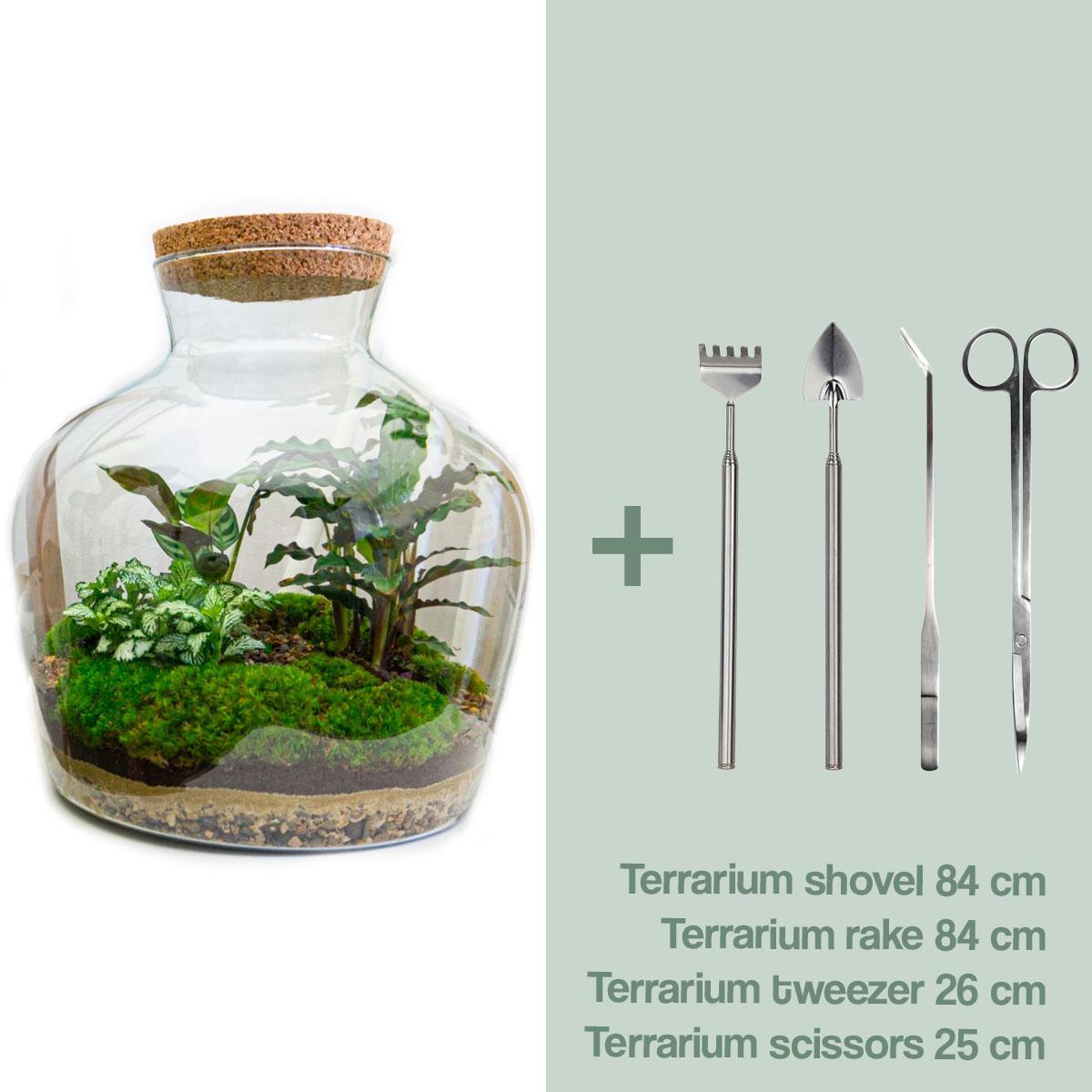 DIY terrarium -  Fat Joe - ↑ 30 cm + Rake + Shovel + Tweezer + Scissors