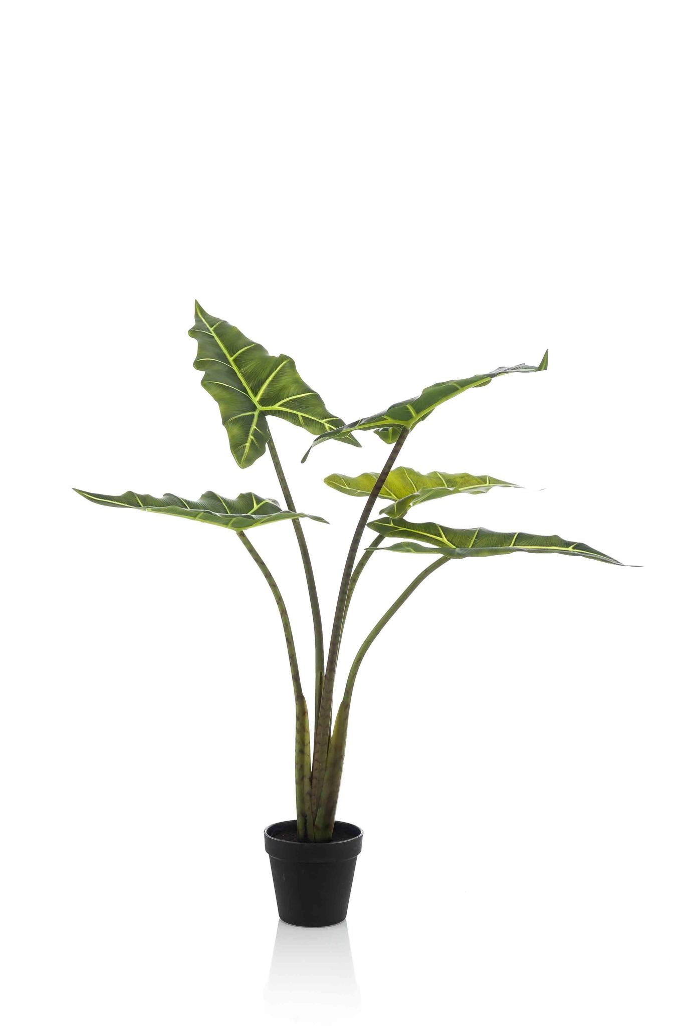 Kunstplant - Alocasia Frydek - Olifantsoor - 80 cm