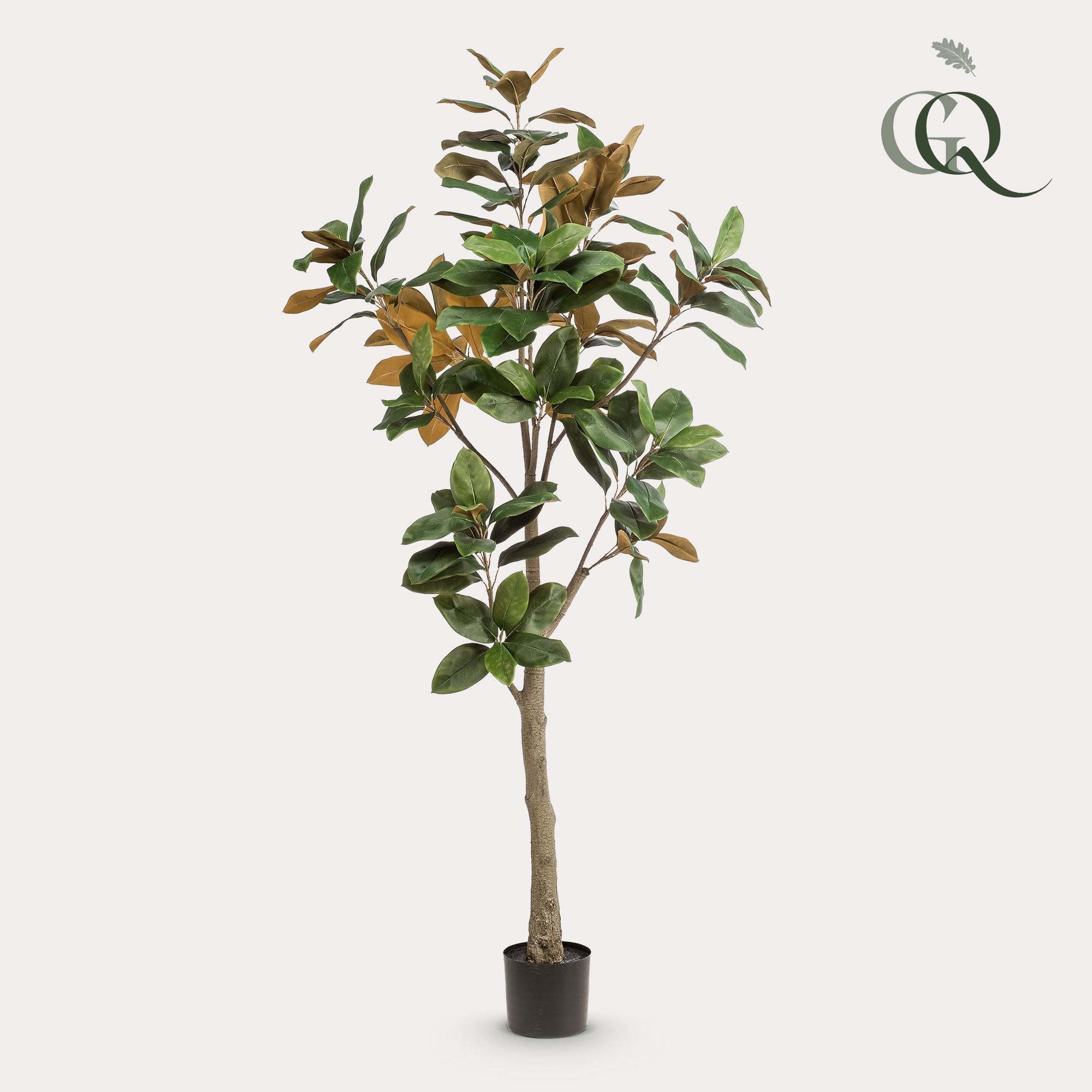 Kunstplant - Magnolia Grandiflora - Abelia - 180 cm