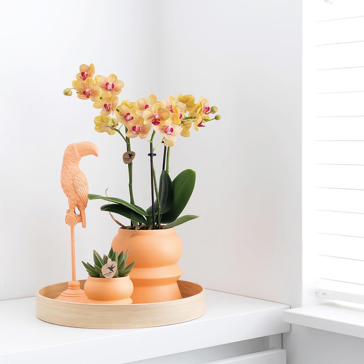 Kolibri Home | Ornament - Decoratie beeld Toucan peach