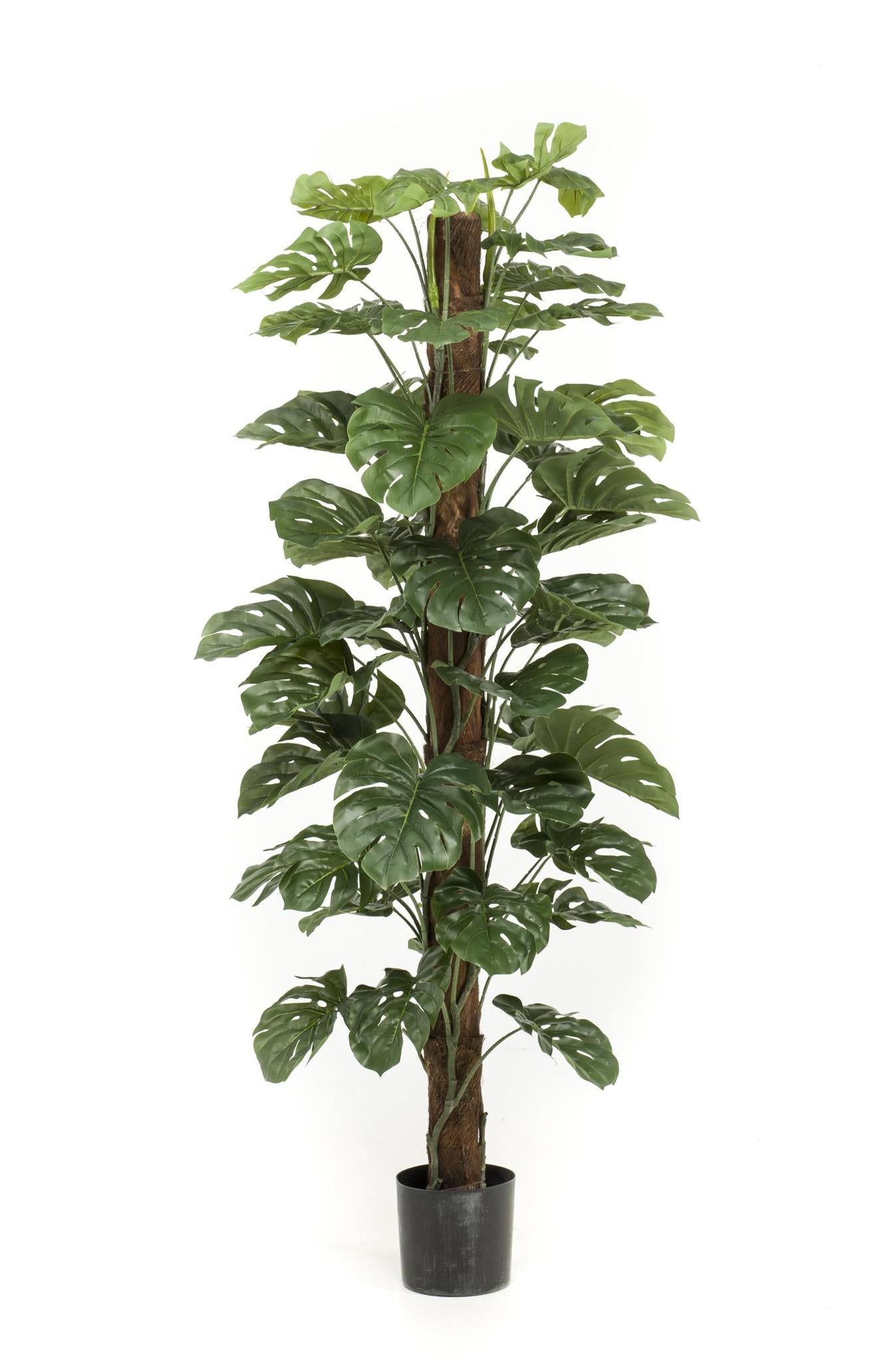 Kunstplant - Monstera Deliciosa - Gatenplant - 180 cm