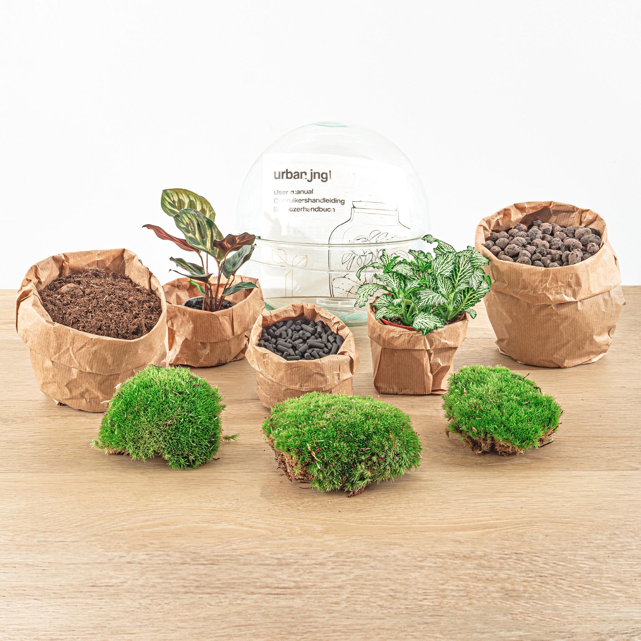 DIY terrarium - Dome - ↑ 20 cm + Rake + Shovel + Tweezer + Scissors