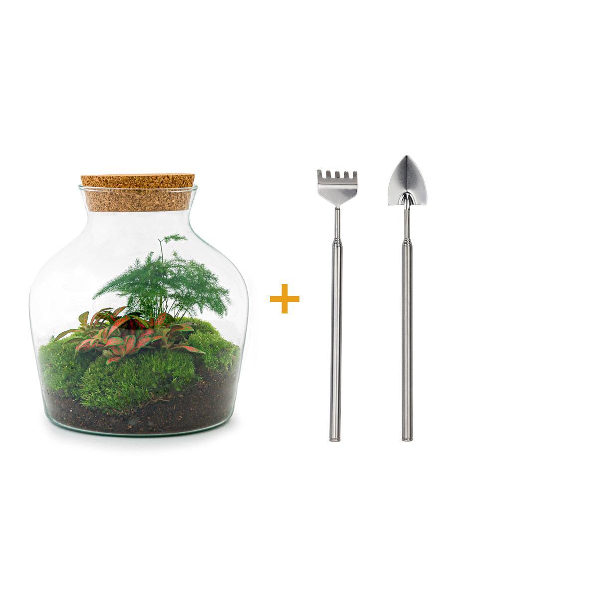 DIY terrarium - Little Joe - ↑ 21,5 cm