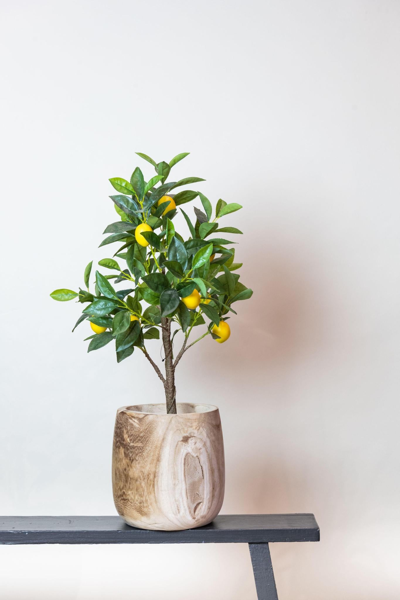 Kunstplant - Citrus Limonia - Citroenboom - 72 cm