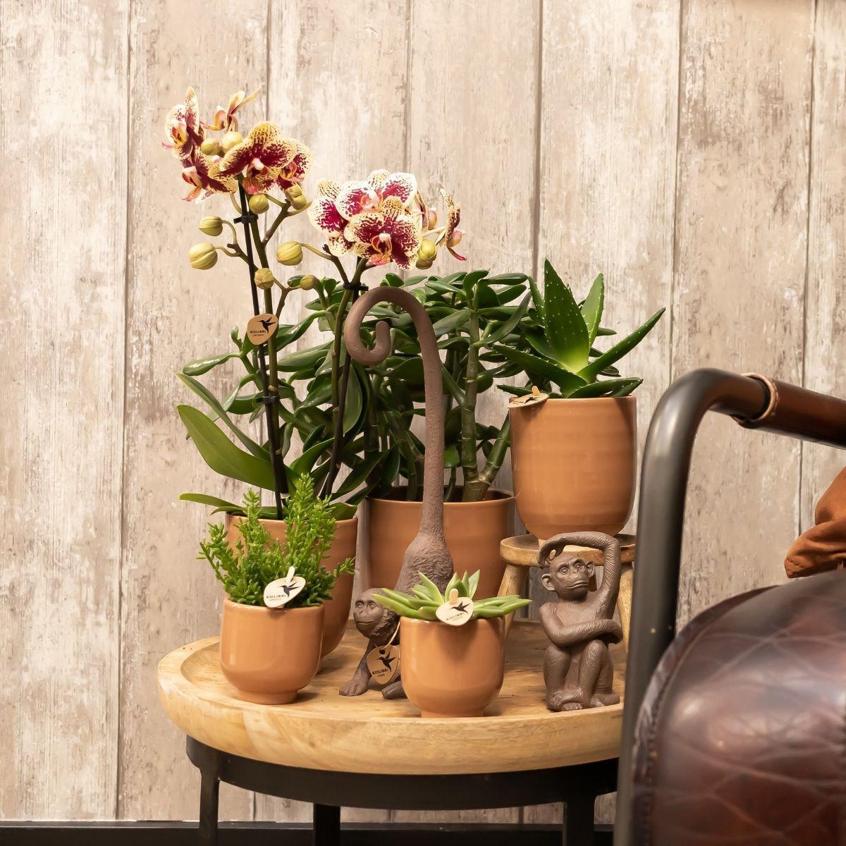 Kolibri Home | Glazed bloempot - Cognac keramieken sierpot met glans - Ø12cm