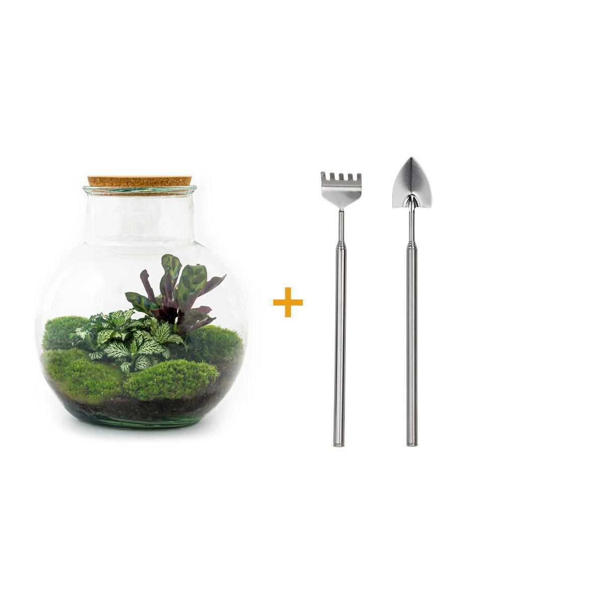 DIY terrarium - Teddy - ↑ 26,5 cm  + Rake + Shovel