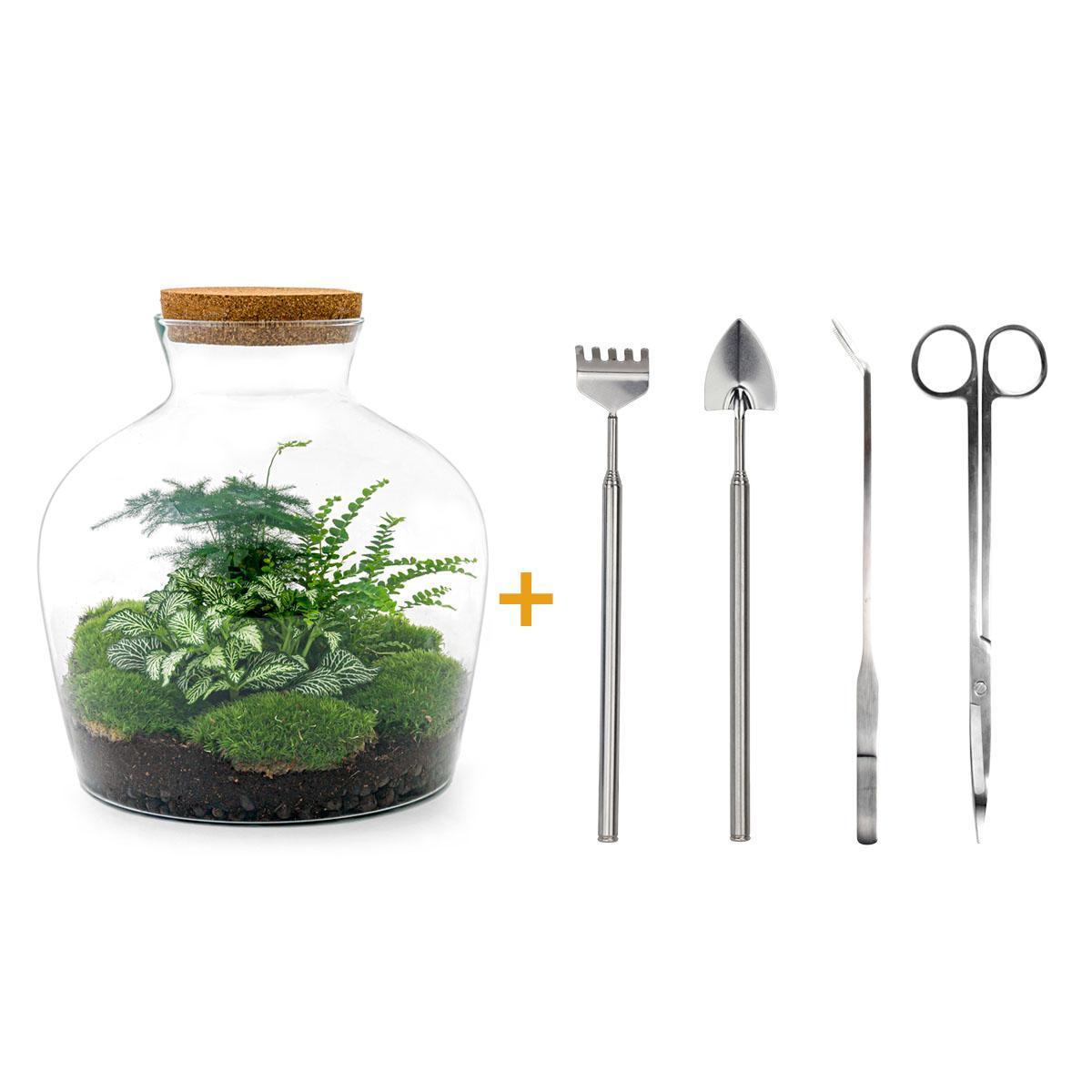 DIY terrarium - Fat Joe Groen - ↑ 30 cm + Rake + Shovel + Tweezer + Scissors