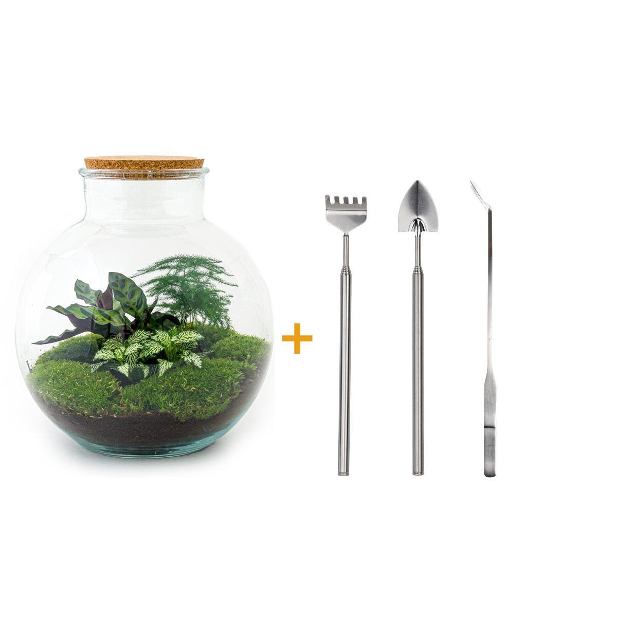 DIY terrarium - Bolder Bob - ↑ 30 cm + Rake + Shovel + Tweezer