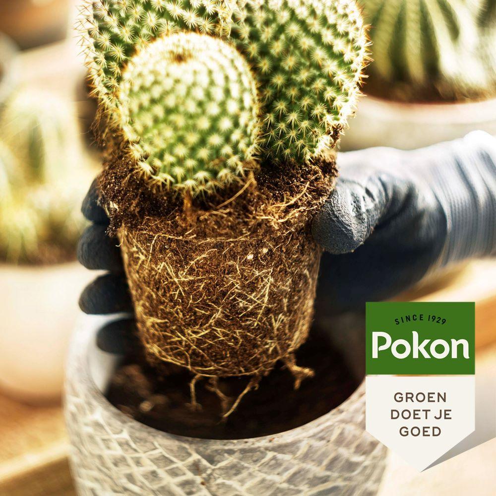 Pokon Potgrond Cactus 5L