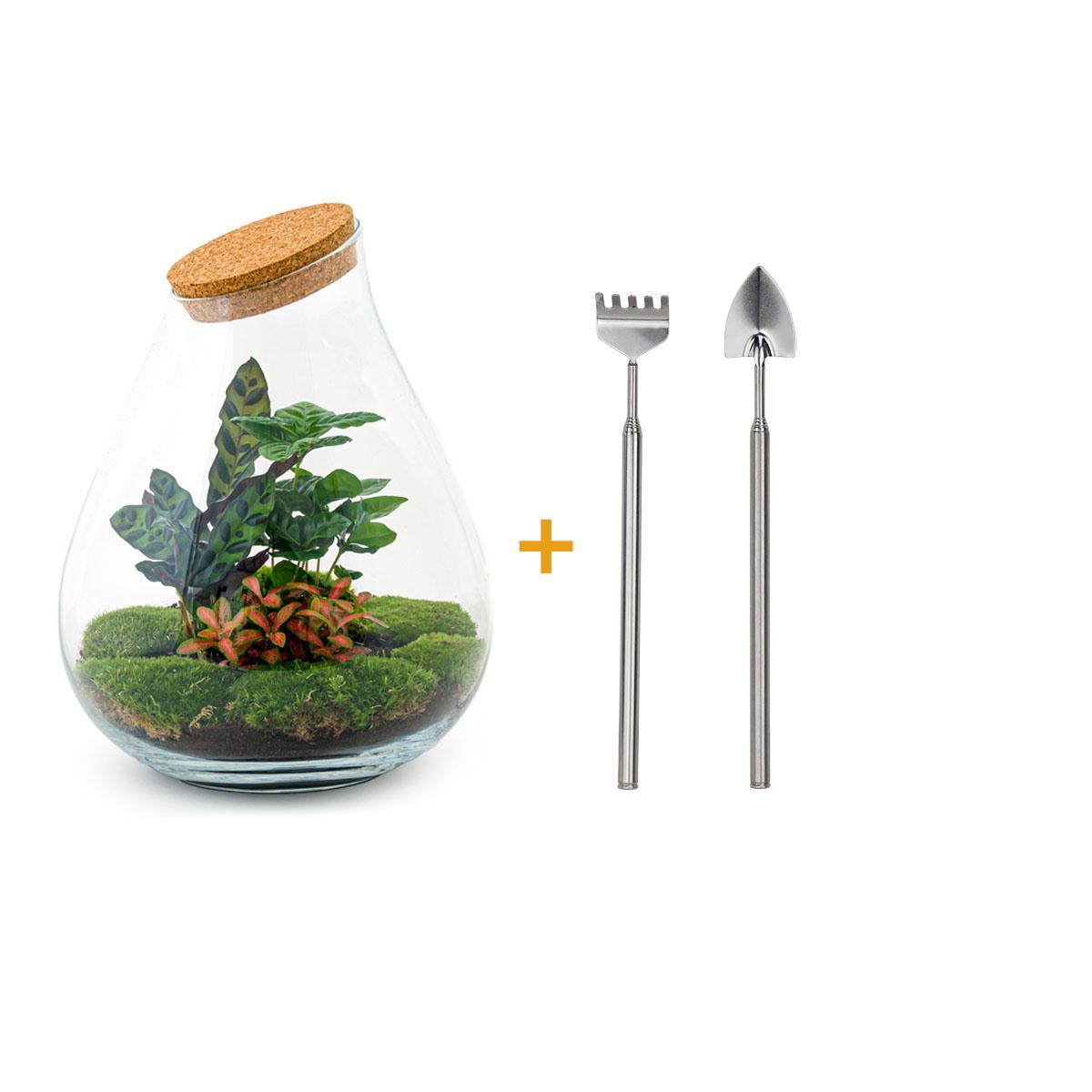 DIY terrarium - Drop XL Rood  + Rake + Shovel ↑ 37 cm