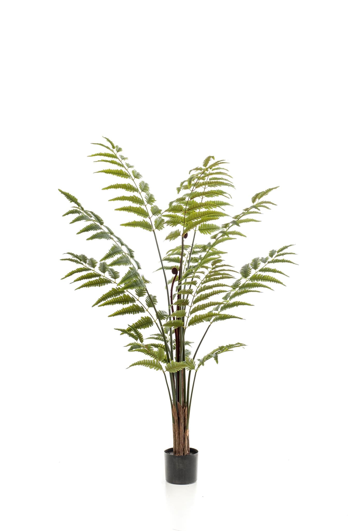 Kunstplant - Rumohra Adiantiformis - Ledervaren - 150 cm