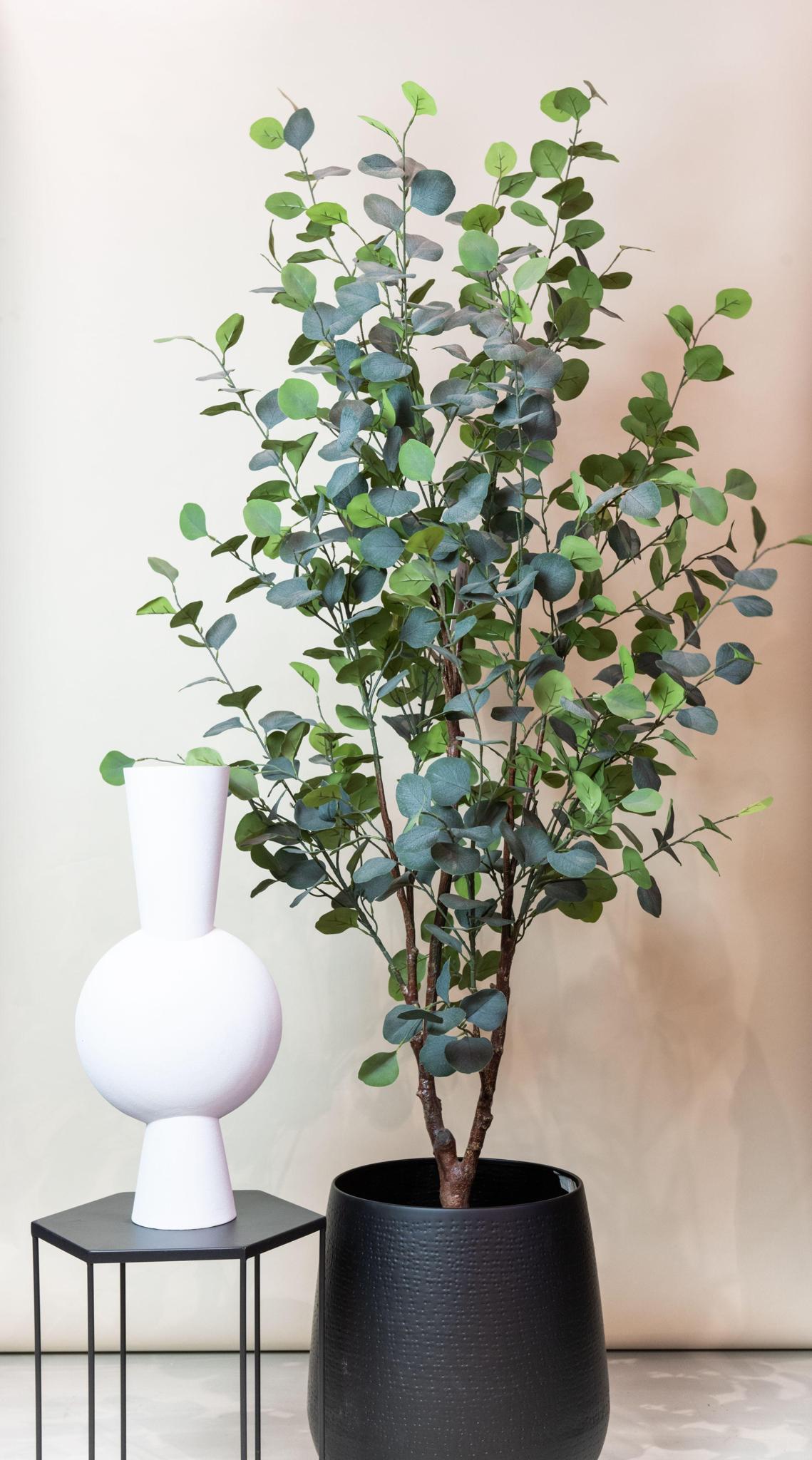 Kunstplant - Eucalyptus - Blauwe Gomboom - 180 cm