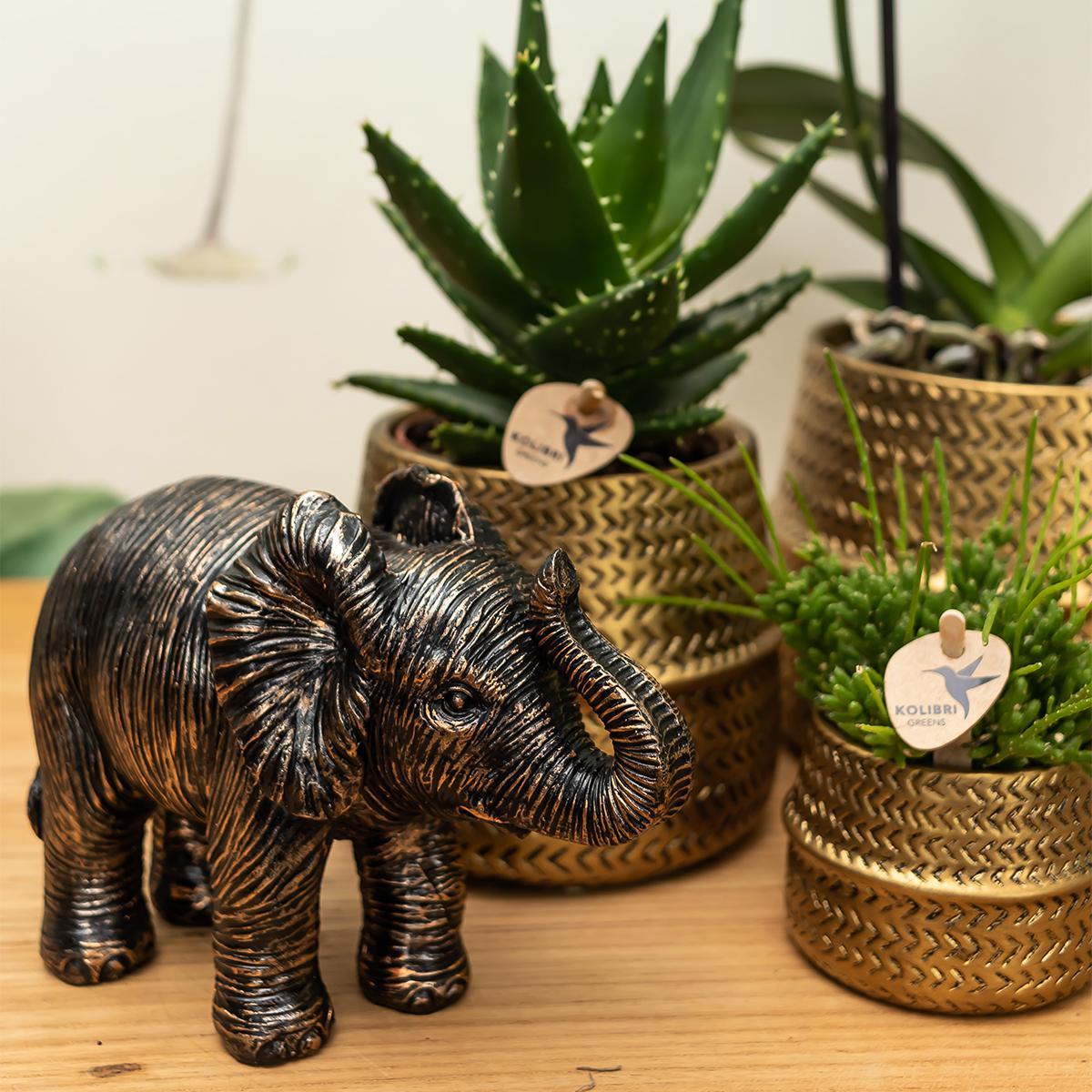 Kolibri Home | Ornament - Decoratie beeld Elephant zwart