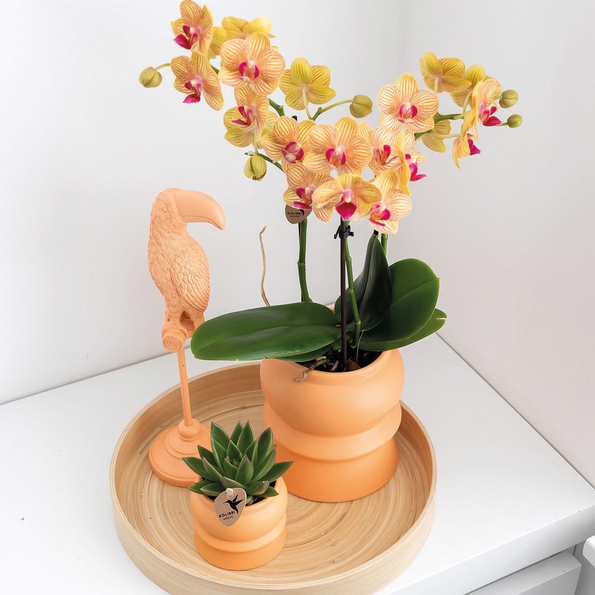 Kolibri Home | Ornament - Decoratie beeld Toucan peach