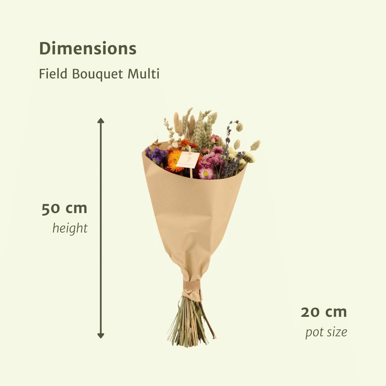 Field Bouquet Multi - Droogboeket - 50cm - Ø20