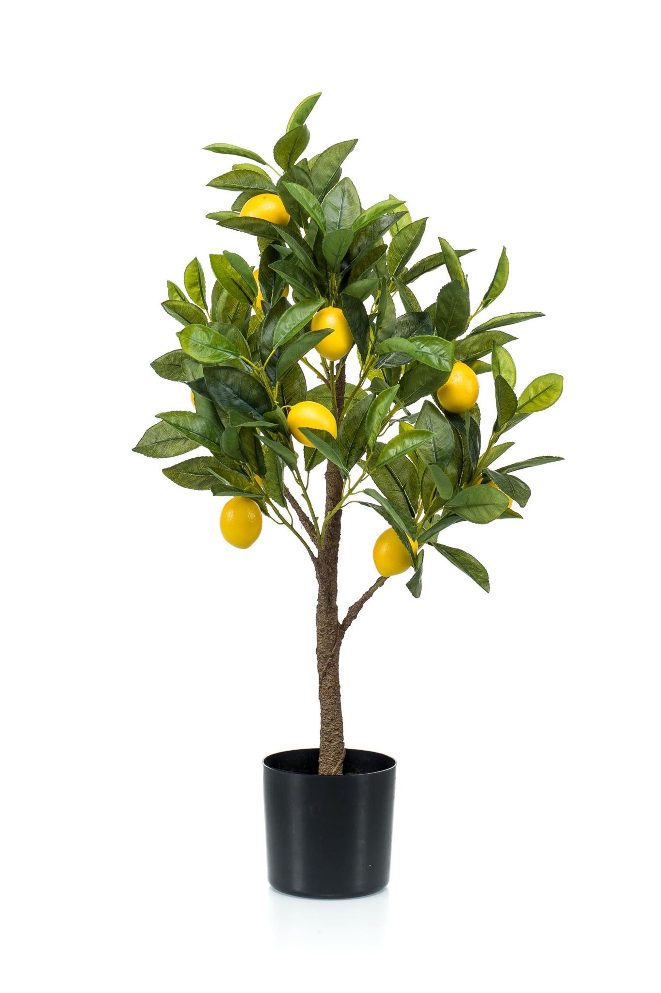 Kunstplant - Citrus Limonia - Citroenboom - 72 cm