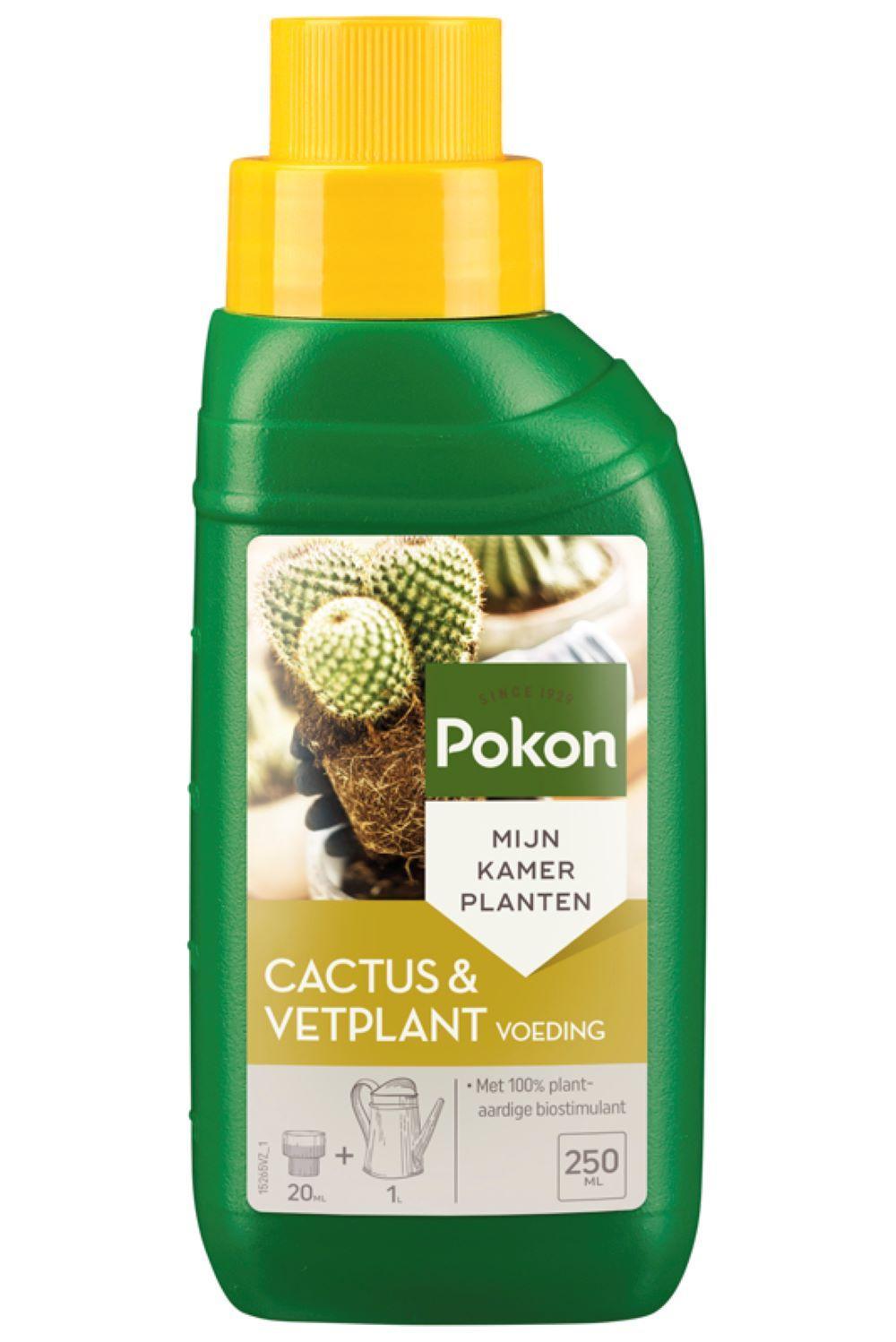 Pokon Cactus & Vetplant Voeding 250ml