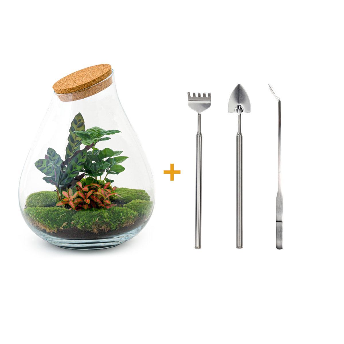 DIY terrarium - Drop XL Rood + Rake + Shovel + Tweezer - ↑ 37 cm