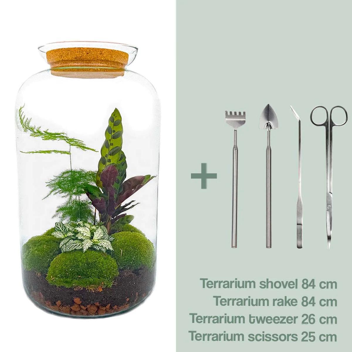 DIY terrarium - Botanical Sven XL - ↑ 43 cm  + Rake + Shovel + Tweezer + Scissors