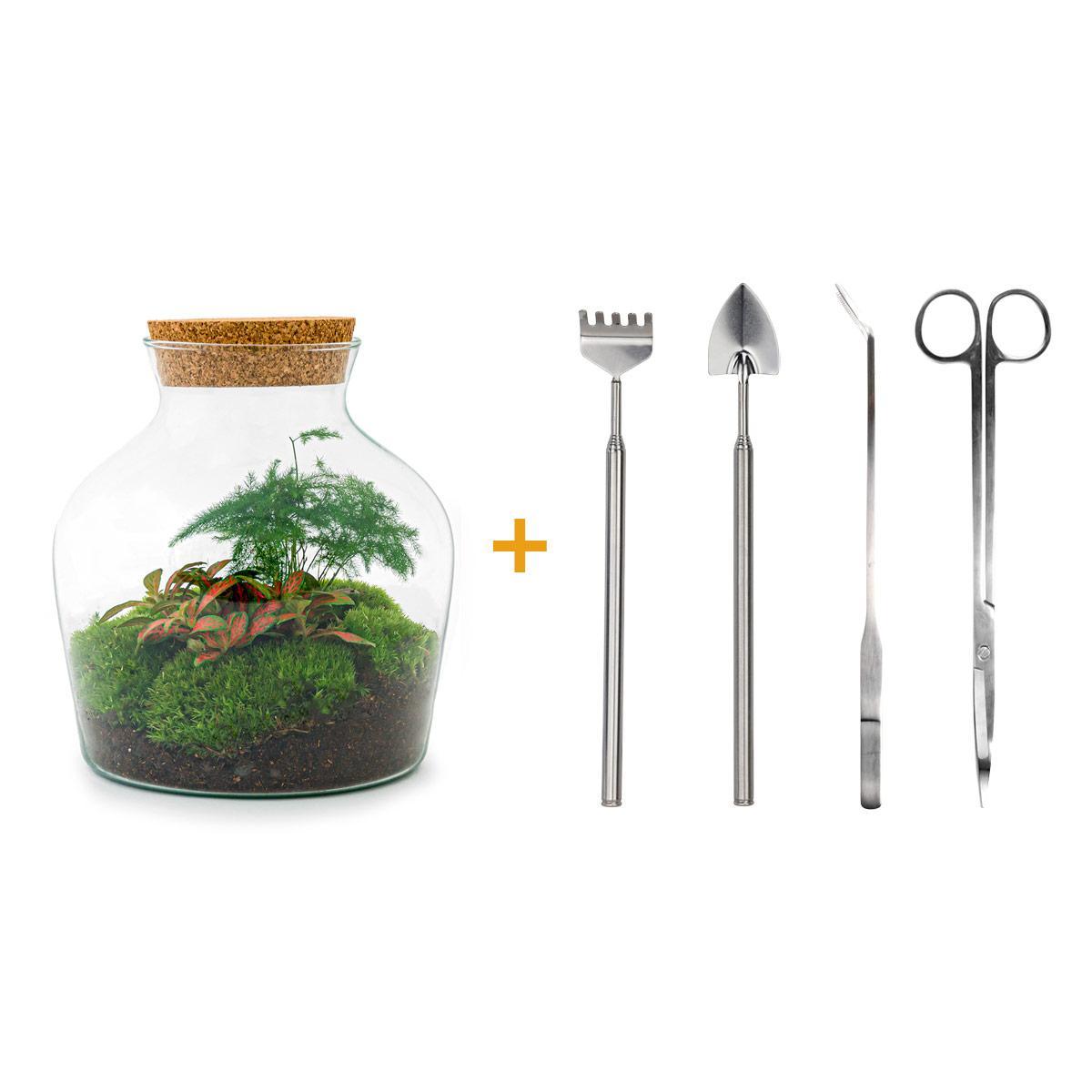 DIY terrarium - Little Joe - ↑ 21,5 cm