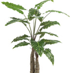 Kunstplant - Alocasia - Olifantsoor - 150 cm
