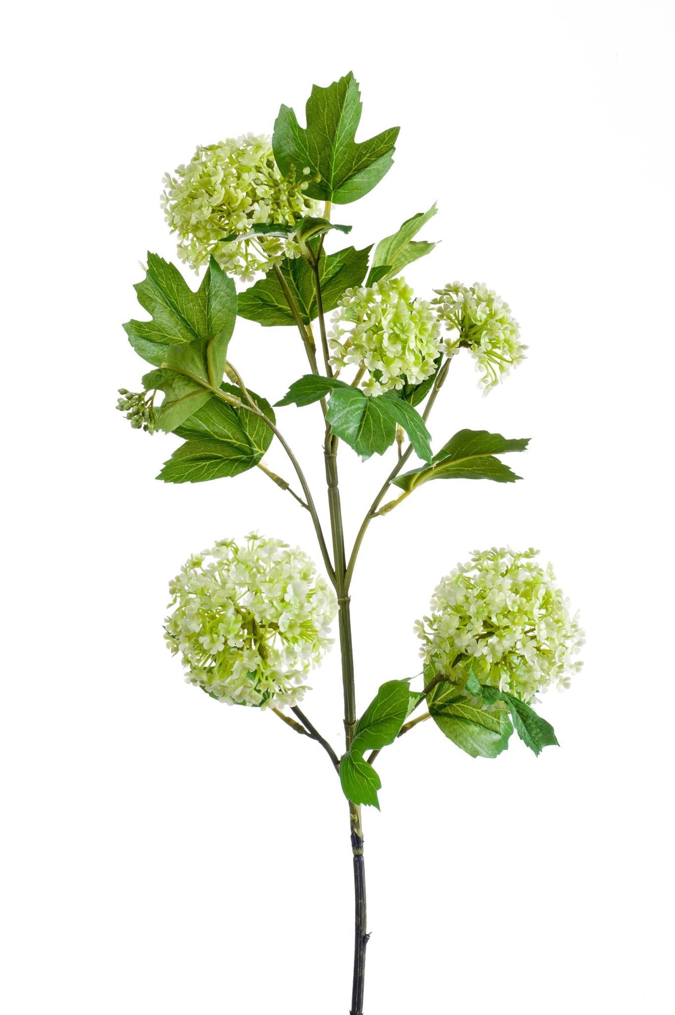 Kunstbloemen - Viburnum opulus takken creme x 4 - 75cm