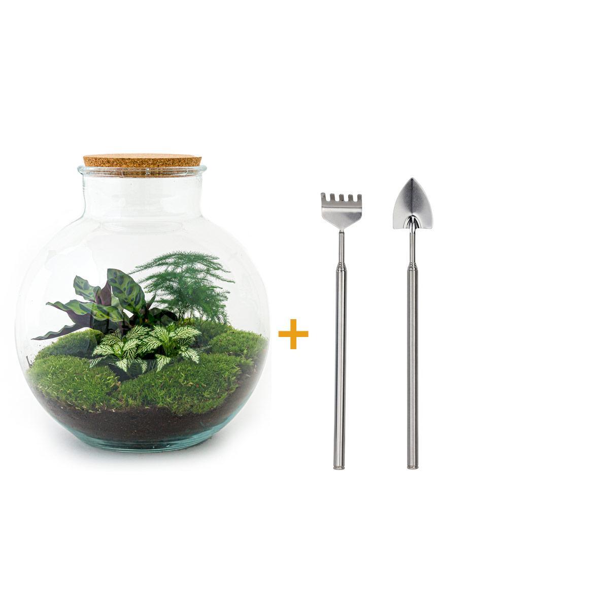 DIY terrarium - Bolder Bob - ↑ 30 cm + Rake + Shovel