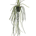 Kunstplant - Rhypsalis - Koraalcactus - 85 cm